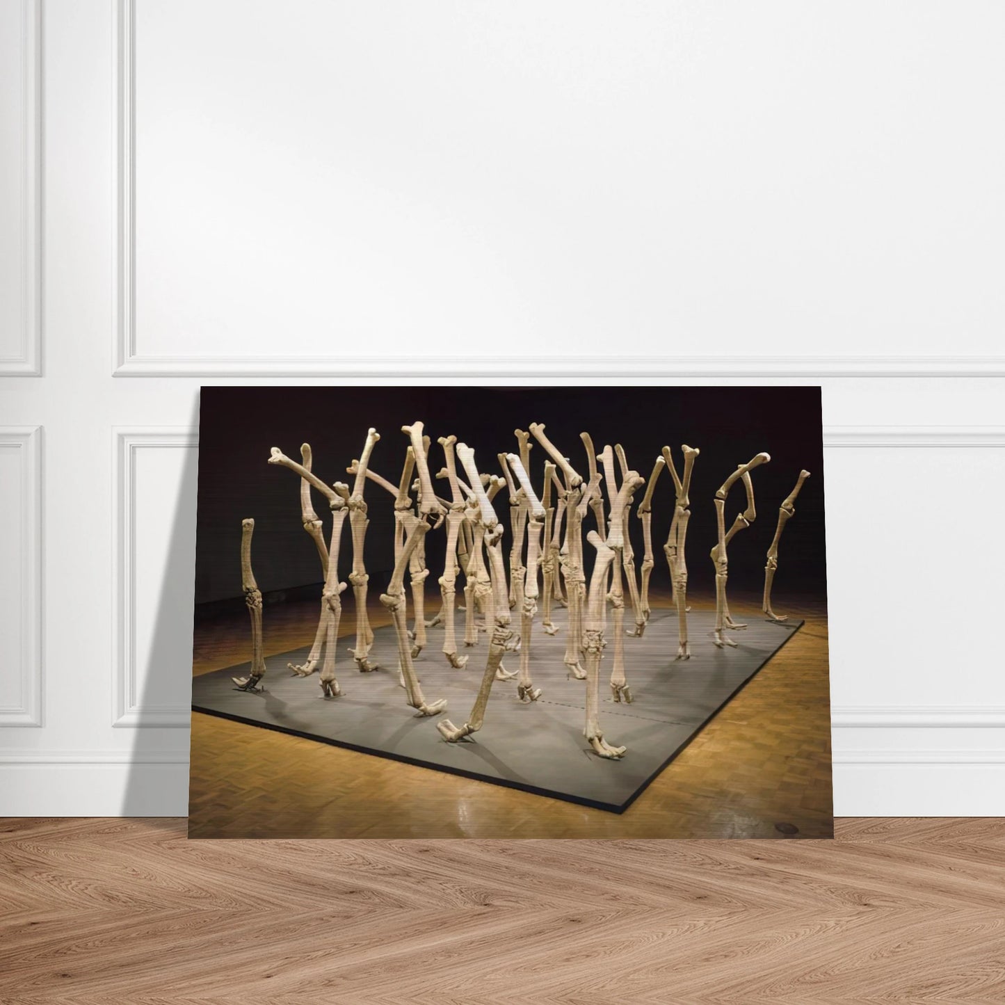 VARIABILITY OF SIMILAR FORMS 1970 - Nancy Graves Brushed Aluminum Print - 70x100 cm / 28x40 inches | Nancy Graves Aluminum Print | Nancy Graves Prints