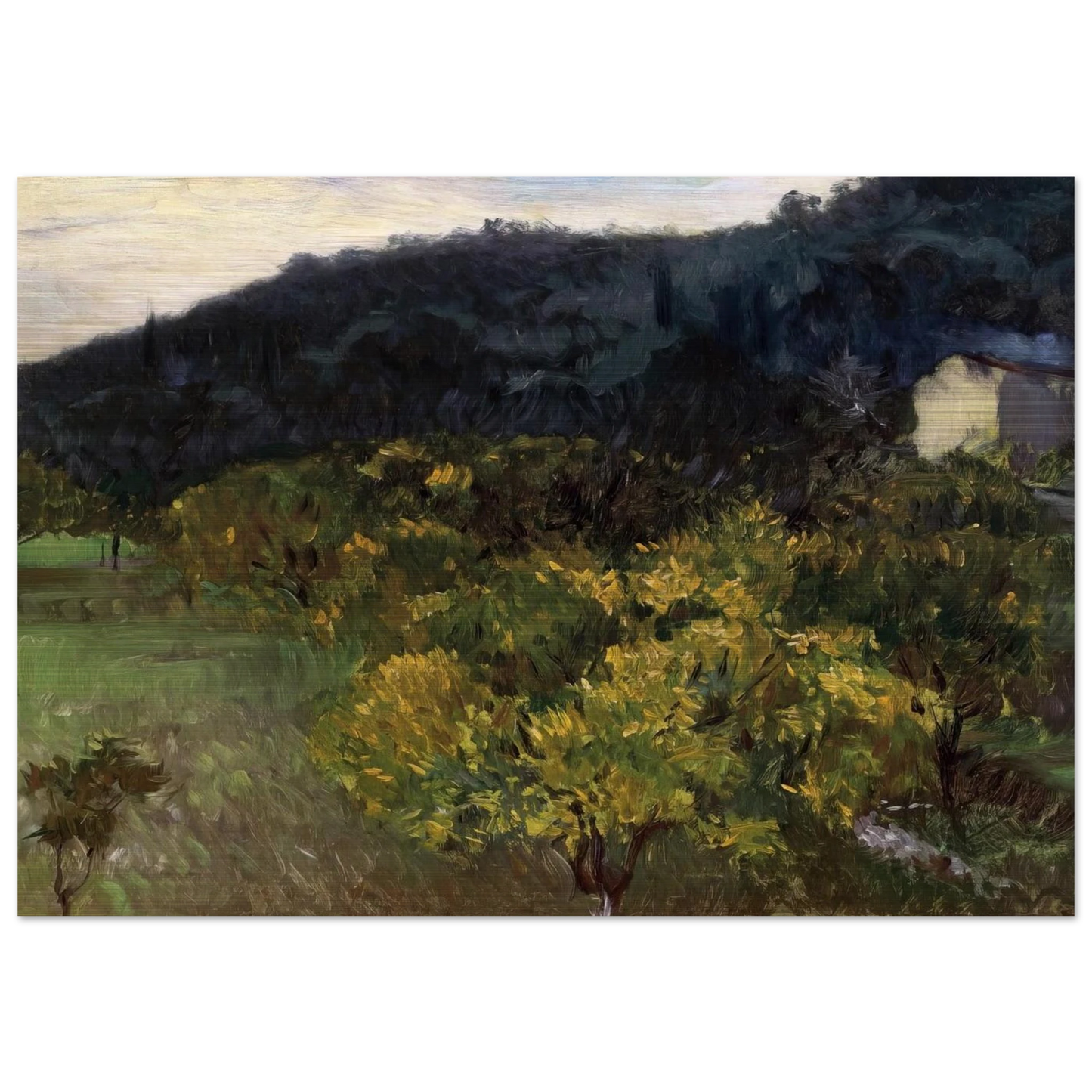 Landscape near Grasse - John Singer Sargent Brushed Aluminum Print - 70x100 cm / 28x40 inches | John Singer Sargent Aluminum Print | John Singer Sargent Prints