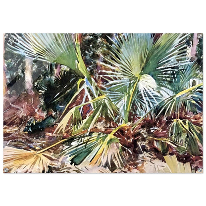 Palmettos, Florida - John Singer Sargent Acrylic Print - 70x100 cm / 28x40″ inches | John Singer Sargent Wall Art | John Singer Sargent Prints