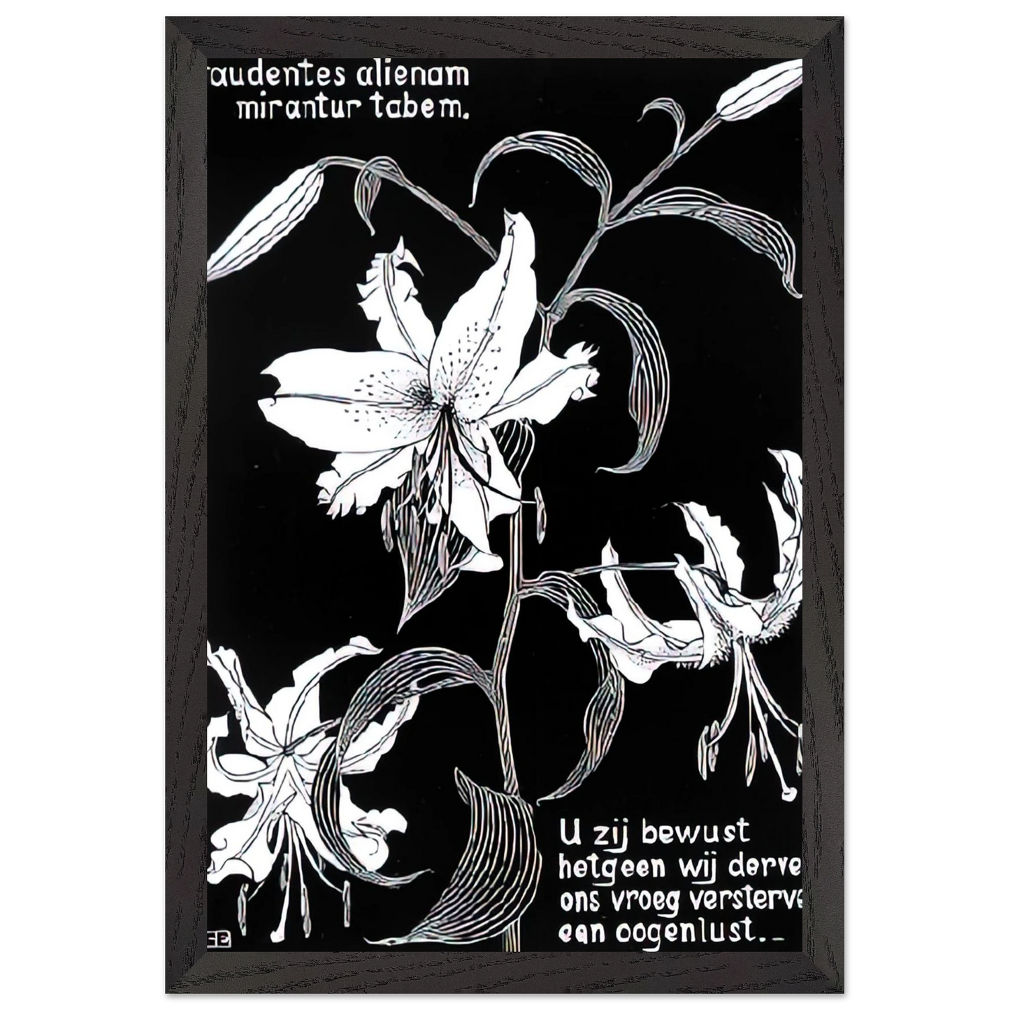 MC Escher - FLOWERS Wall Art - 60x80 cm / 24x32 inches - Fine Art Poster - -
