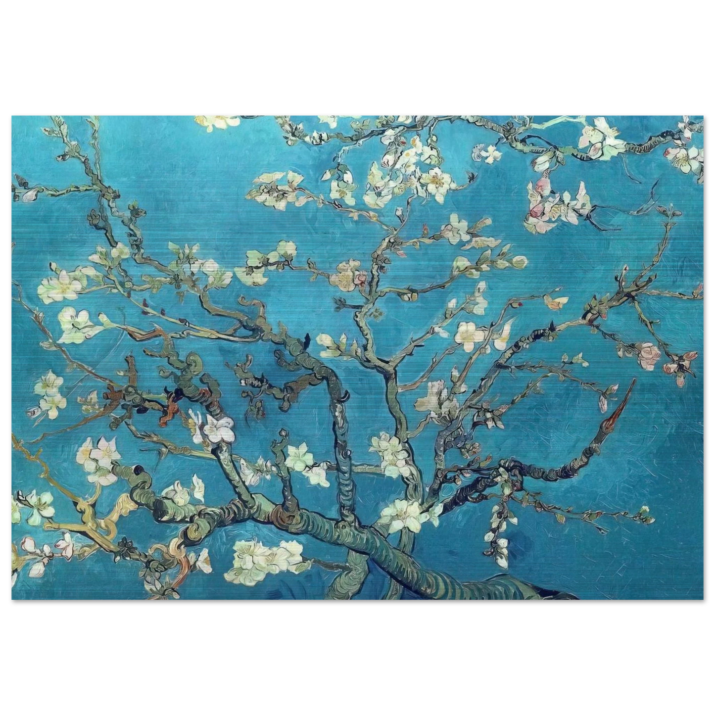 Branches with Almond Blossom - Vincent van Gogh Brushed Aluminum Print - 70x100 cm / 28x40 inches | Vincent van Gogh Aluminum Print | Vincent van Gogh Prints