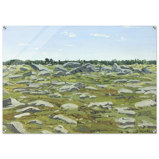 Study for Midday Barren - 1972 - Neil Welliver Acrylic Print - 70x100 cm / 28x40″ inches