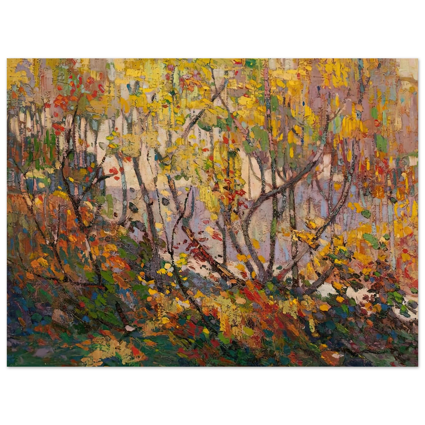 Tom Thomson - OPULENT OCTOBER 1916  75x100 cm / 30x40inches Fine Art Poster