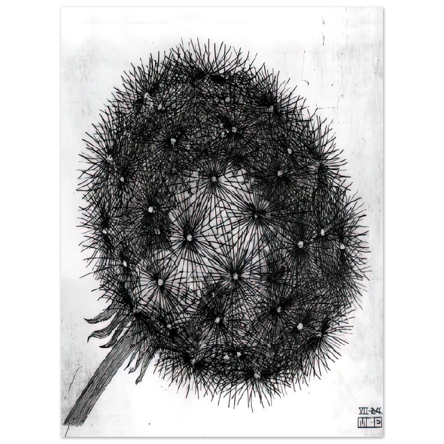 MC Escher - BLOWBALL I Wall Art - 21x29.7 cm / 8x12" - Fine Art Poster-canvas - -