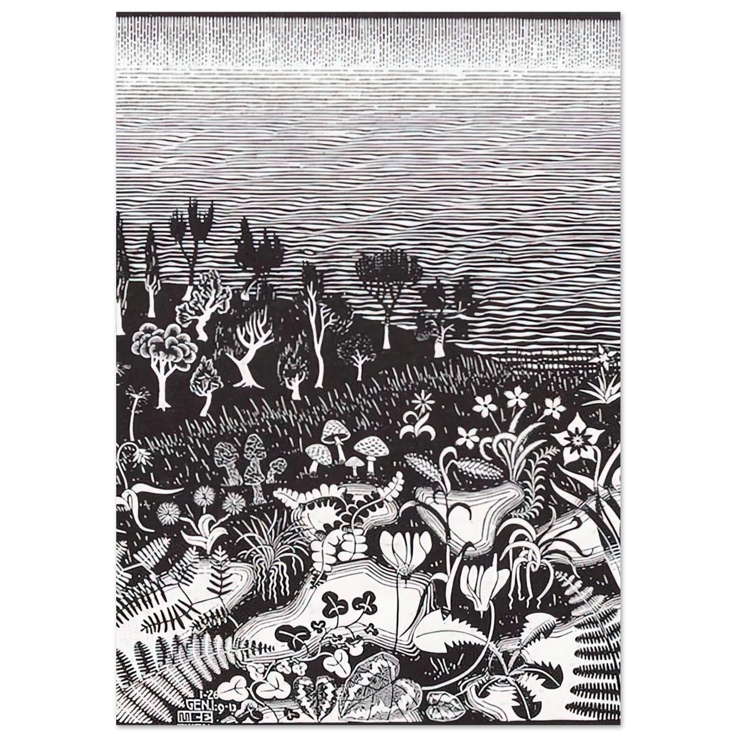 MC Escher - THE 3RD DAY OF THE CREATION Wall Art - 60x80 cm / 24x32 inches - Premium Wooden Framed Poster With Fine Art Paper-canvas - Black frame