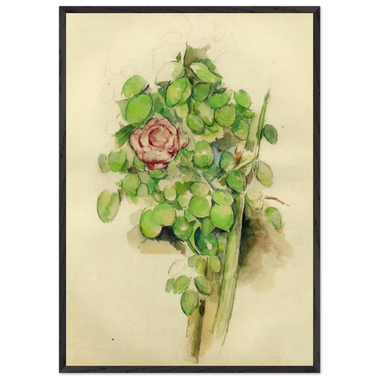 Rose Bush - Paul Cezanne 70x100 cm / 28x40 inches Framed Art Print – Black Wooden Frame