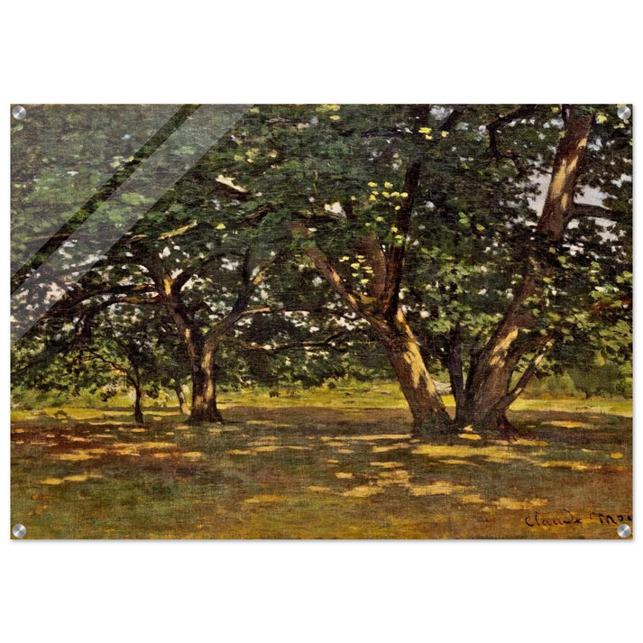 Fontainebleau Forest - claude monet Acrylic Print - 70x100 cm / 28x40″ inches