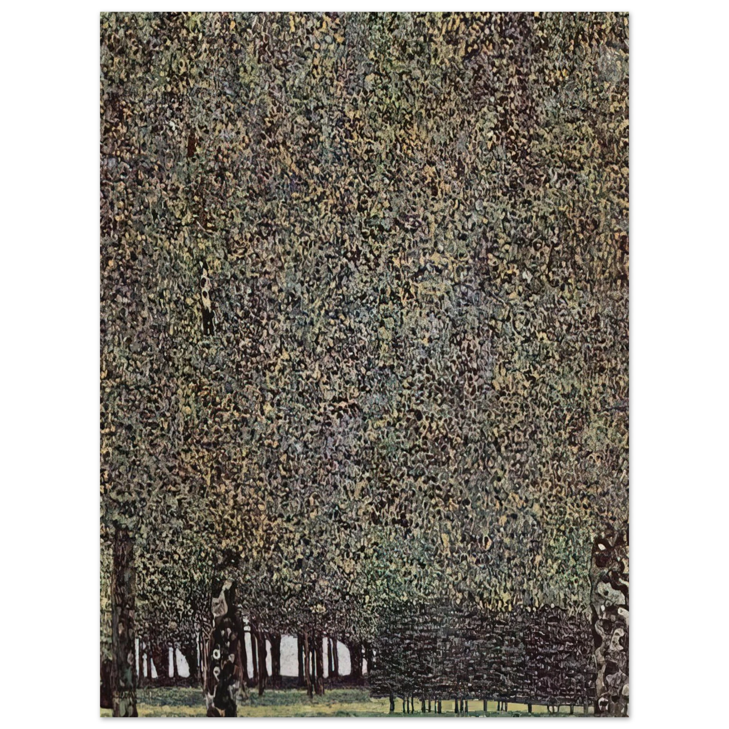 Gustav Klimt - PARK 1910  75x100 cm / 30x40inches Fine Art Poster
