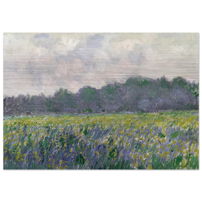 Field of Yellow Irises at Giverny - claude monet Brushed Aluminum Print - 70x100 cm / 28x40 inches | claude monet Aluminum Print | claude monet Prints