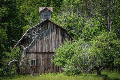 Barn in The Woods Fine Art Print | RedKalion