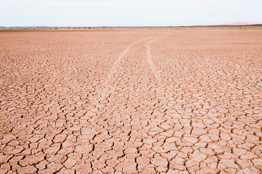 Barren Landscape Art Print | Premium Fine Art Print | RedKalion