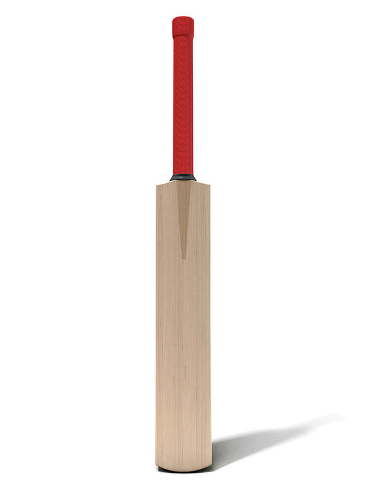 Cricket Paddle Art Print | Vintage Sports Illustration | RedKalion