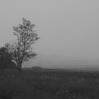 Dark Tree Art Print | Premium Fine Art Print | RedKalion