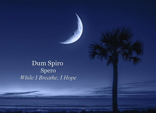 Dum Spiro Spero Meaning Art Print | Latin Motto Fine Art Print | RedKalion