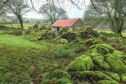 Emsworthy Farm - Dartmoor Art Print | RedKalion