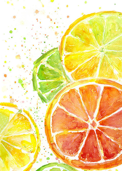 Fruit Watercolor Painting Art Print | Museum-Quality Reproduction | RedKalion