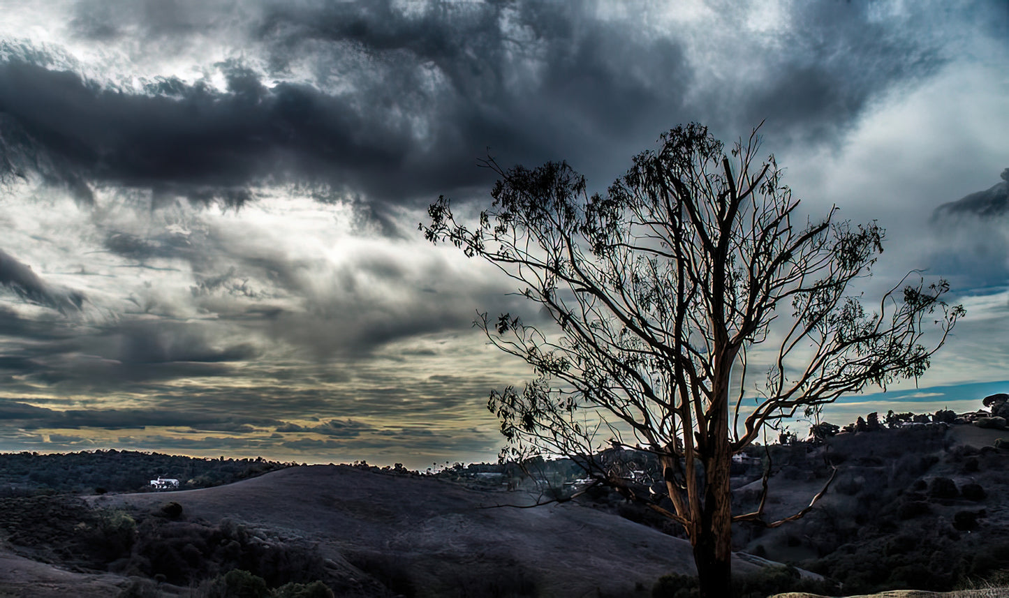 Gloomy Day Fine Art Print | RedKalion