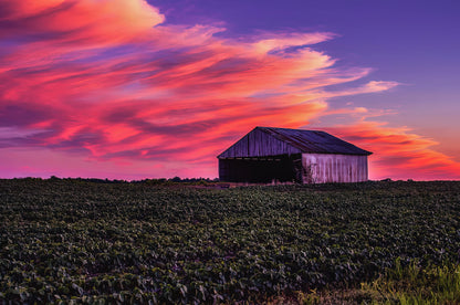 Indiana Sunset Art Print | Premium Fine Art Print | RedKalion