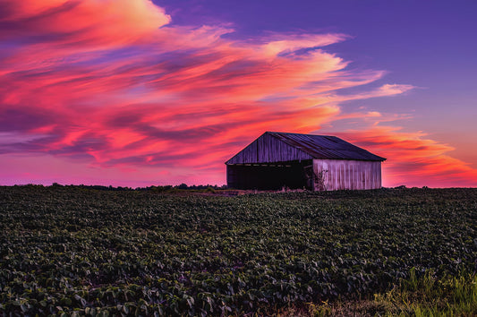 Indiana Sunset Art Print | Premium Fine Art Print | RedKalion