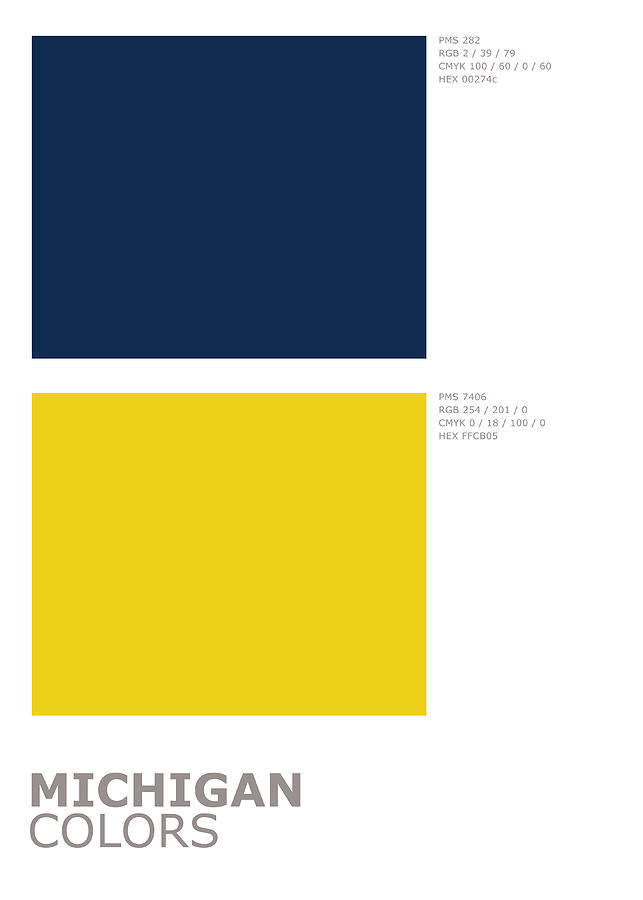 Michigan Colors Art Print | Official Sports Palette Minimalist | RedKalion
