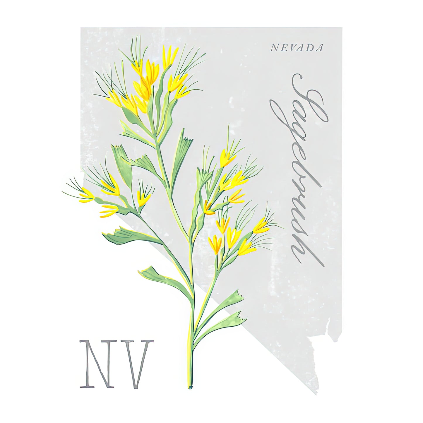 Nevada State Flower Sagebrush Art Print by Jen Montgomery | RedKalion