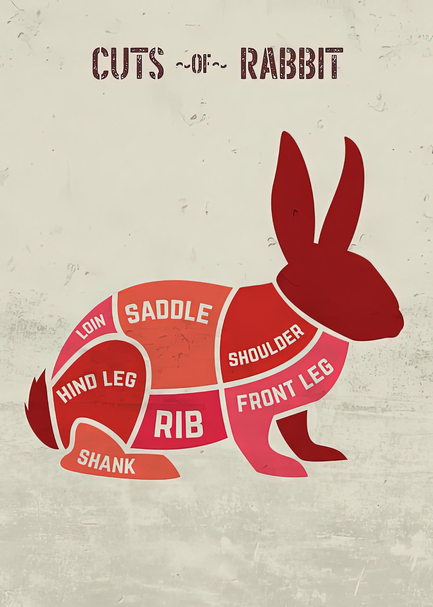 Rabbit Meat Name Chart | Butcher & Fine Dining Art Print | RedKalion