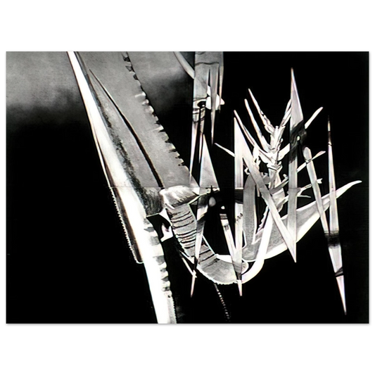 James Rosenquist - The Prickly Dark  75x100 cm / 30x40inches Fine Art Poster
