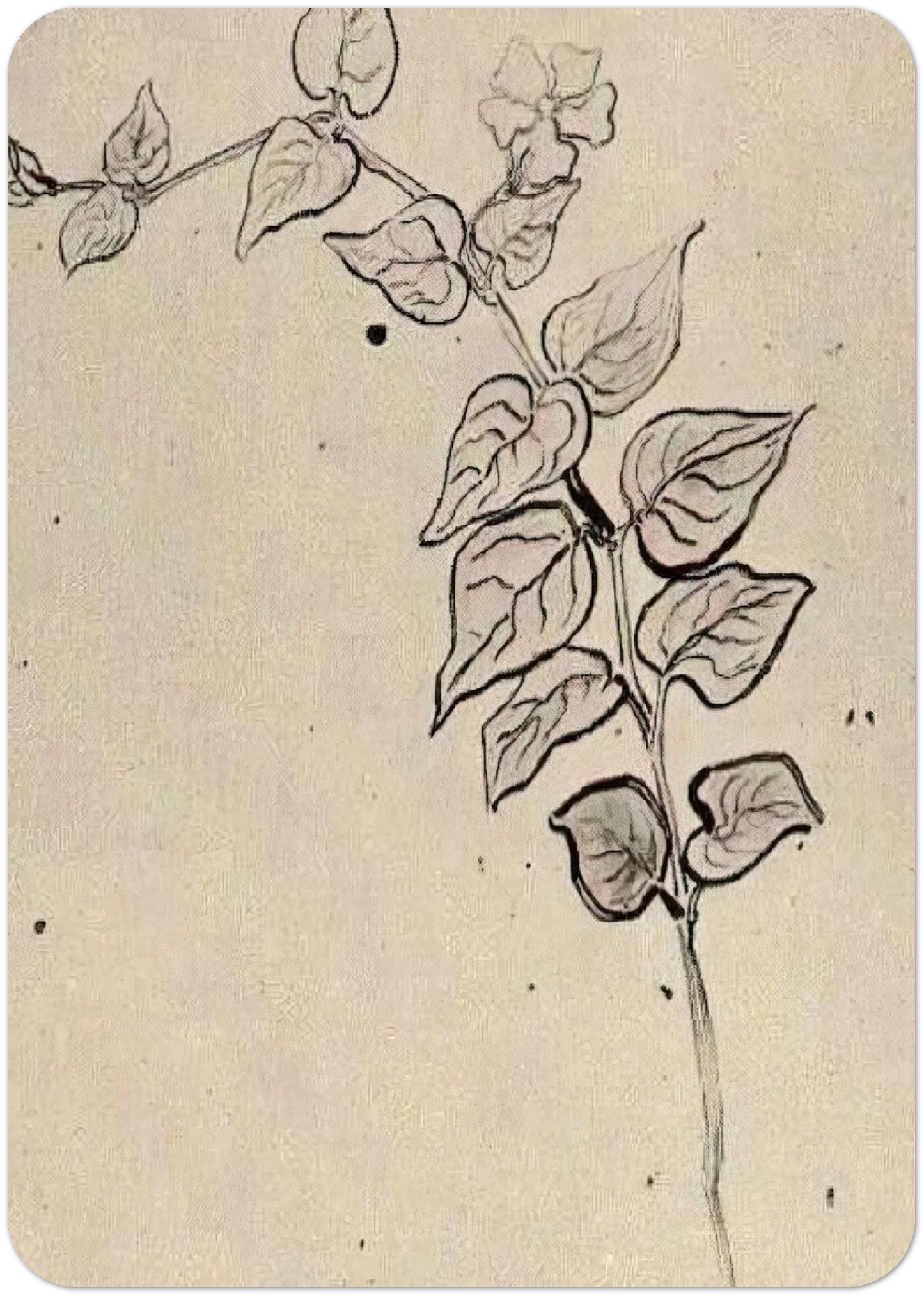 Branch with Leaves By Vincent van Gogh Pack of 10 Post Cards | Vincent van Gogh Post Cards | A6 (10.5 x 14.8 cm) - 4.1 x 5.8 inches