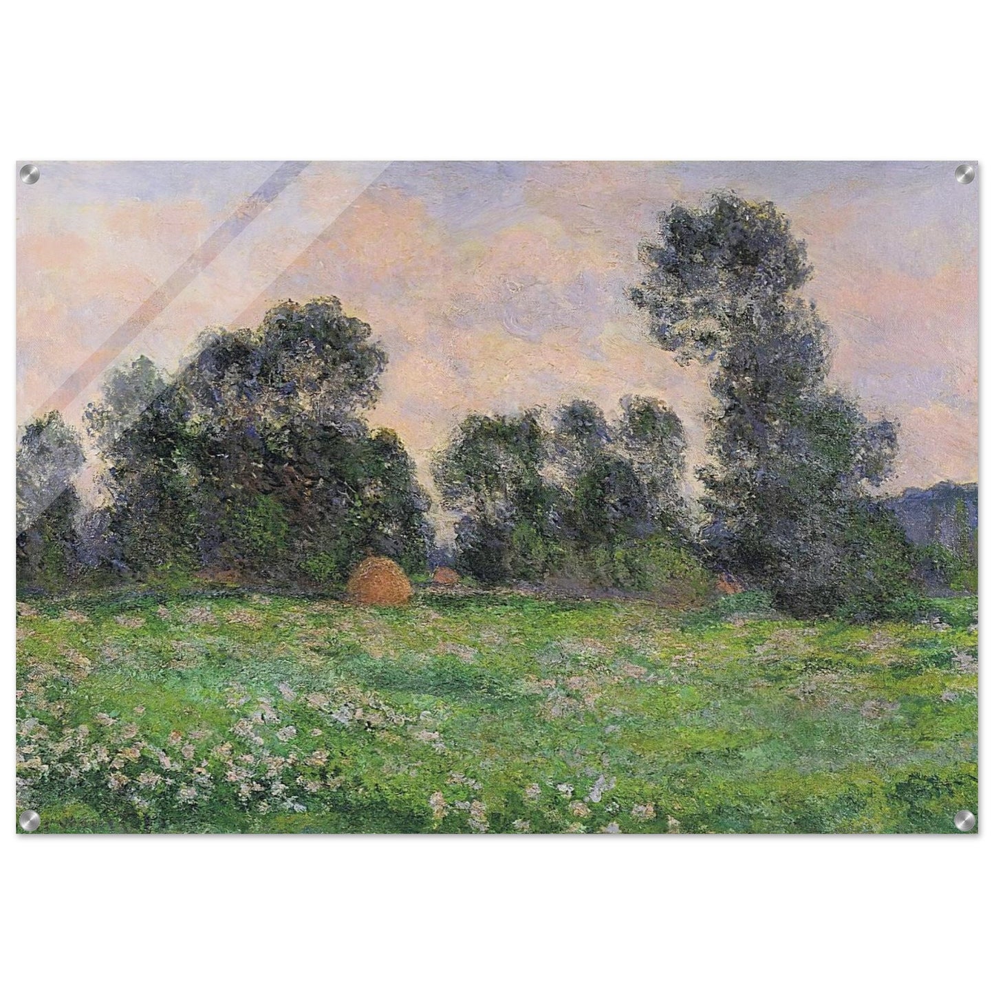 Meadow in Giverny - claude monet Acrylic Print - 70x100 cm / 28x40″ inches | claude monet Wall Art | claude monet Prints