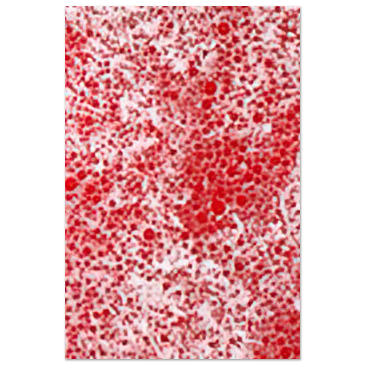 Yayoi Kusama - BEYOND THE END OF THE CENTURY 1987 Fine Art Poster