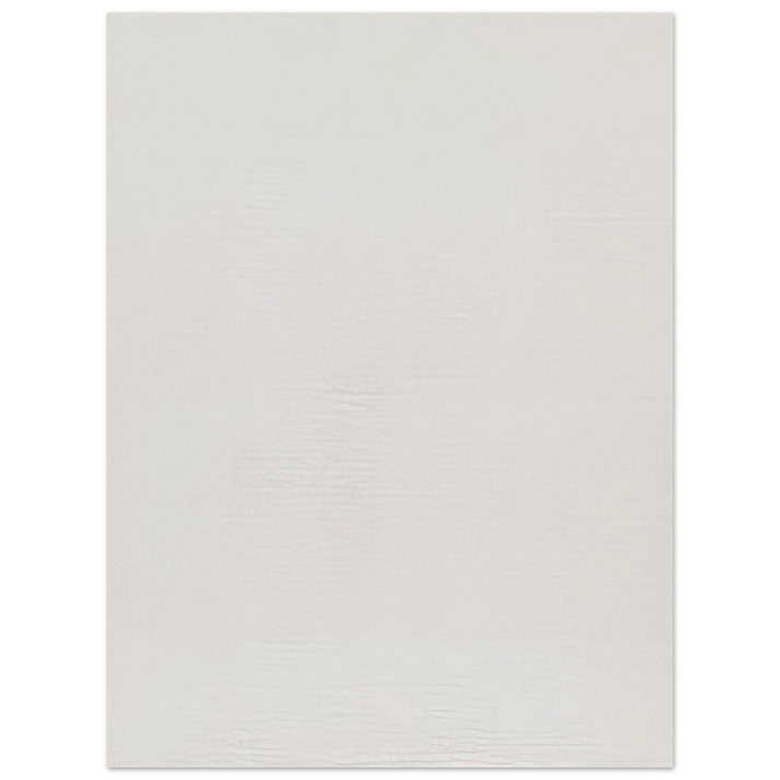Robert Ryman - Twin - 1966  75x100 cm / 30x40inches Fine Art Poster