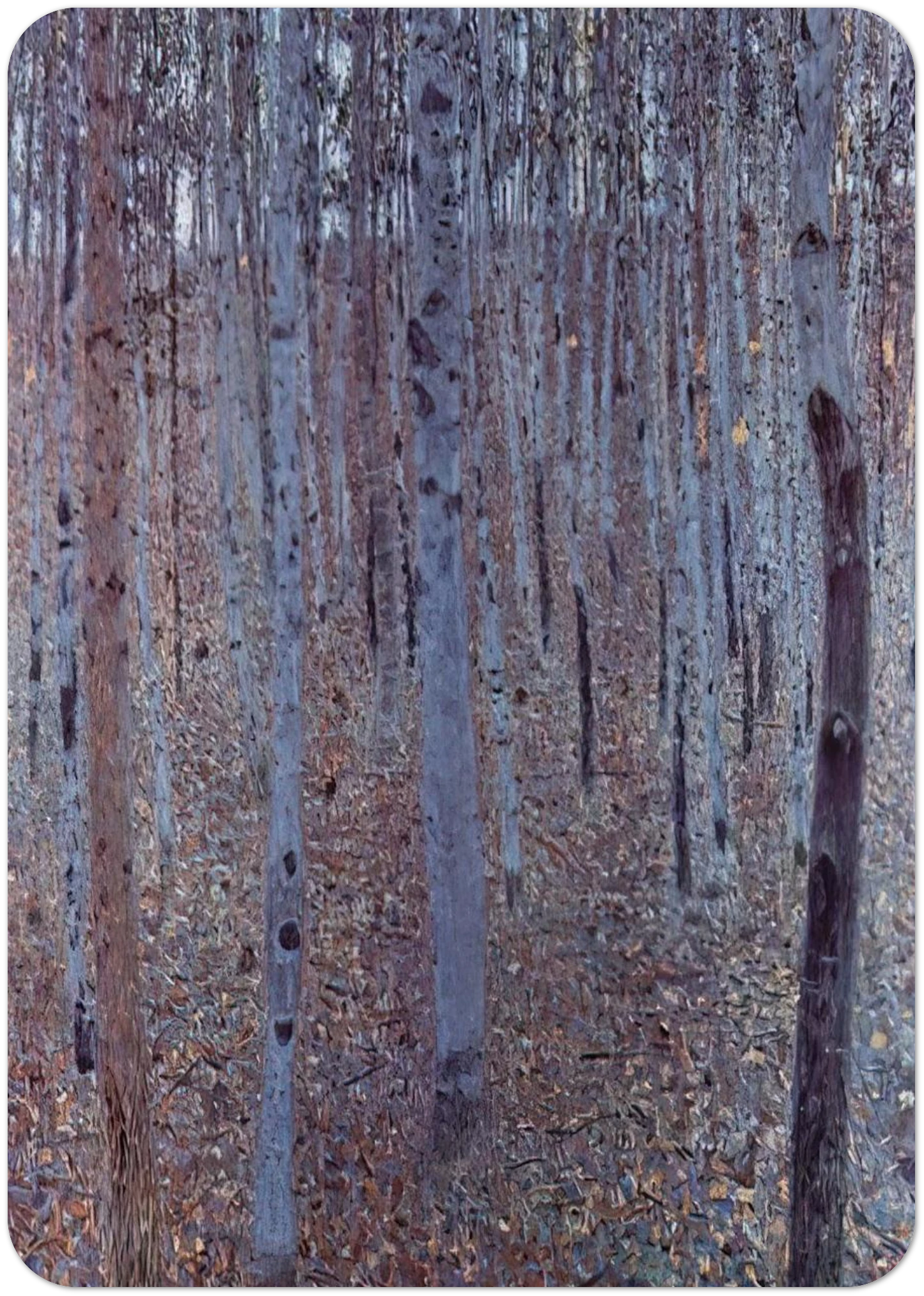 BUCHENHAIN By Gustav Klimt Pack of 10 Post Cards | Gustav Klimt Post Cards | A6 (10.5 x 14.8 cm) - 4.1 x 5.8 inches