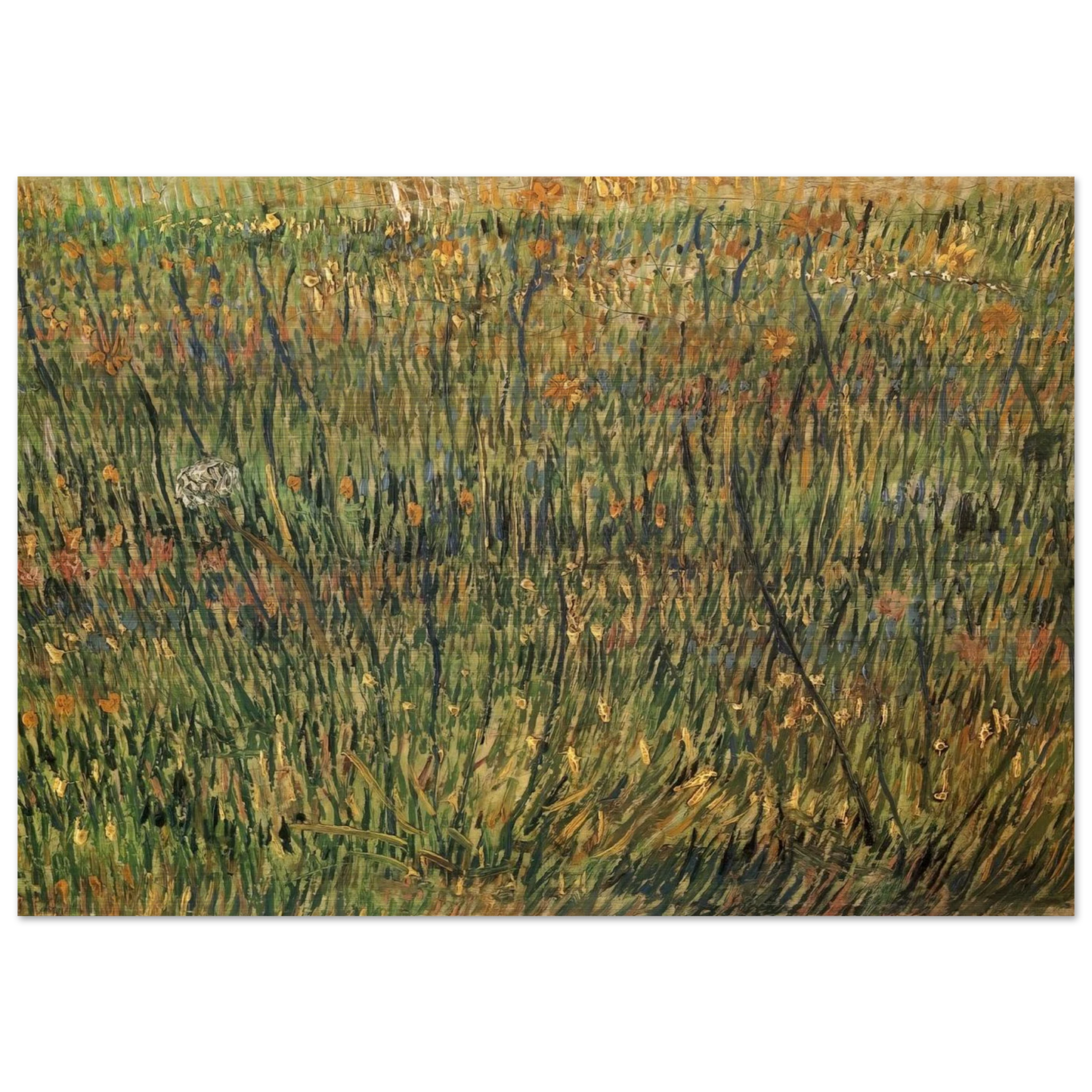 Pasture in Bloom - Vincent van Gogh Brushed Aluminum Print - 70x100 cm / 28x40 inches | Vincent van Gogh Aluminum Print | Vincent van Gogh Prints