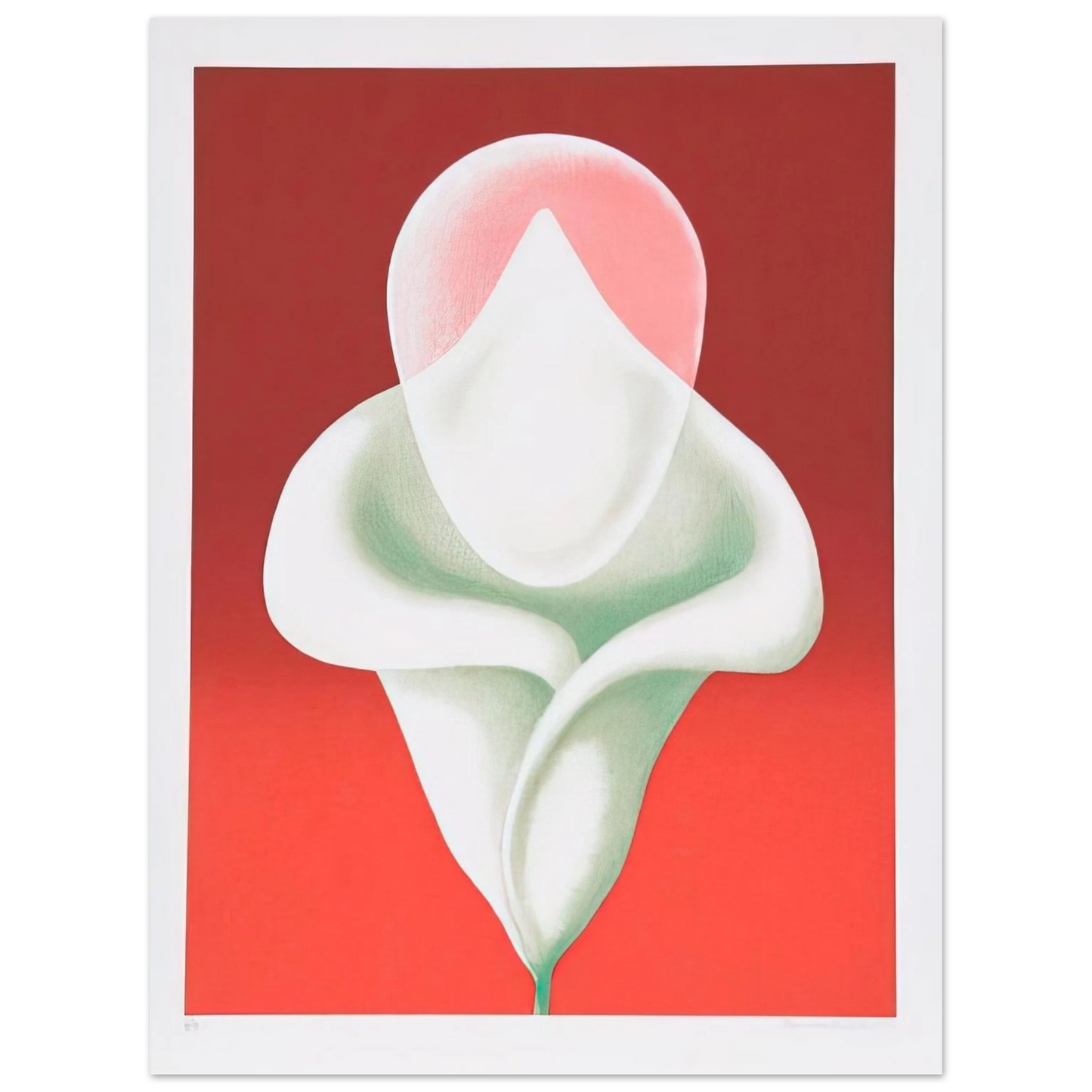 Clarence Holbrook Carter - Abstract Tulip - 1979  75x100 cm / 30x40inches Fine Art Poster