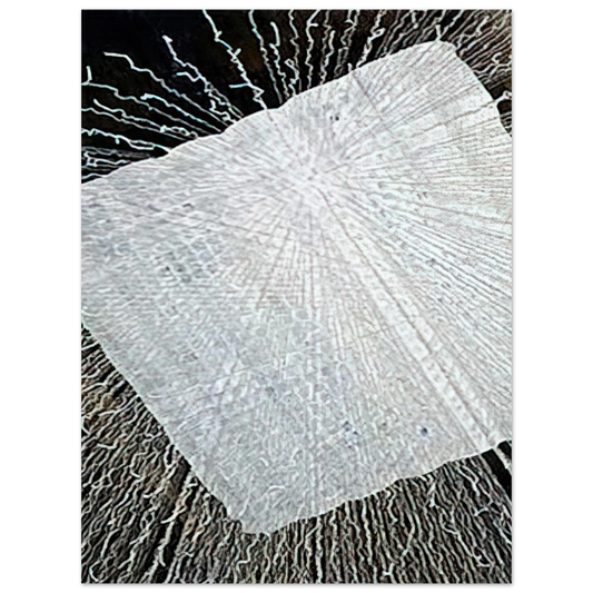 Lenore Tawney - CLOUD SERIES V 1978  75x100 cm / 30x40inches Fine Art Poster