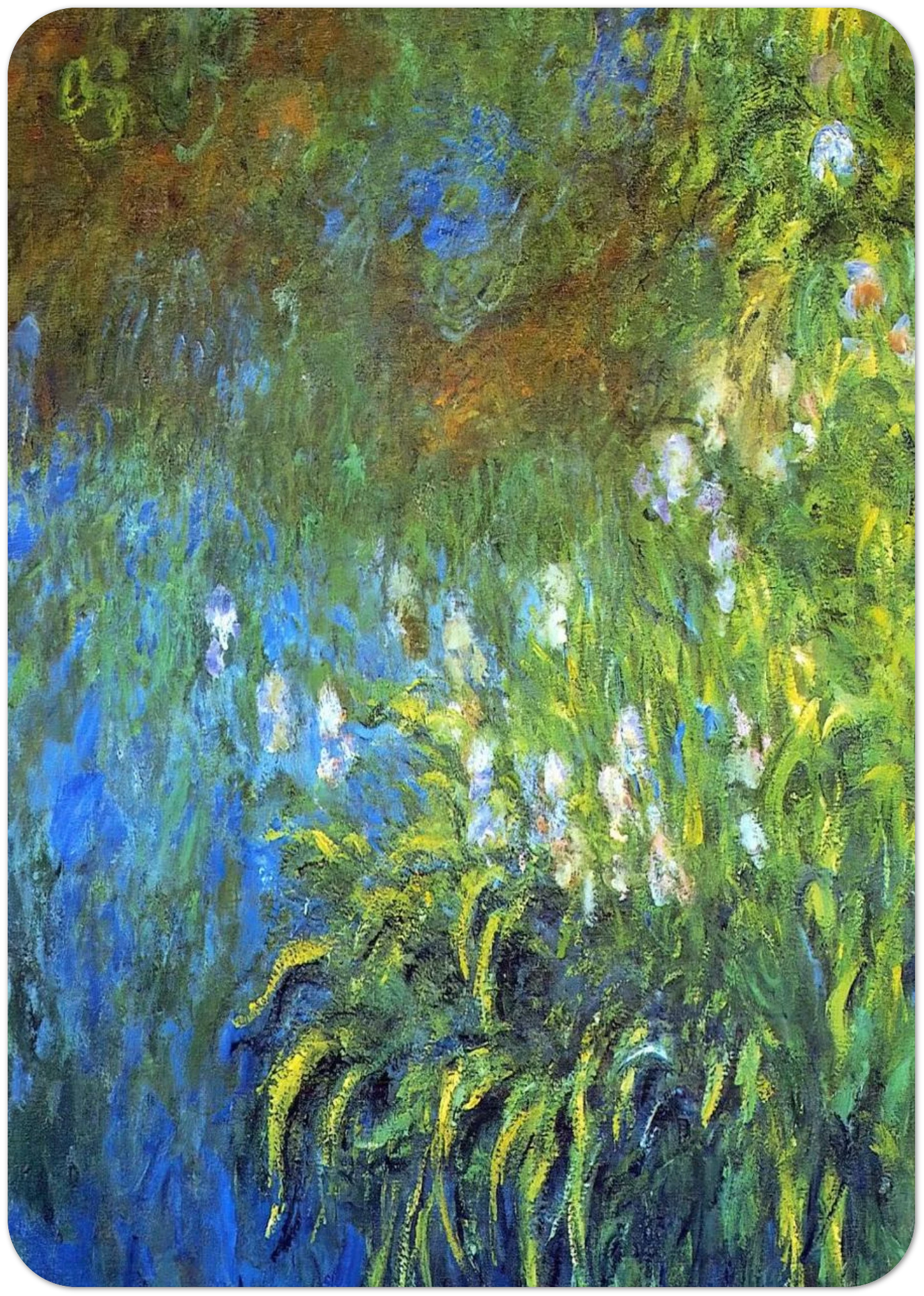 Iris at the Sea-Rose Pond By claude monet Pack of 10 Post Cards | claude monet Post Cards | A6 (10.5 x 14.8 cm) - 4.1 x 5.8 inches