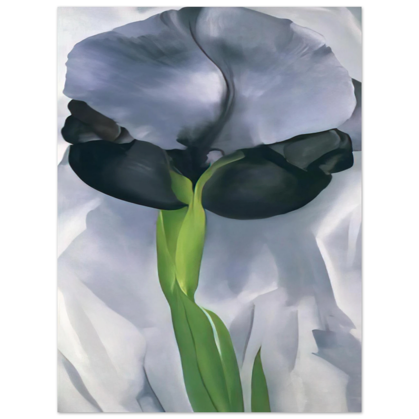 Georgia O'Keeffe - Iris 7 Fine Art Poster