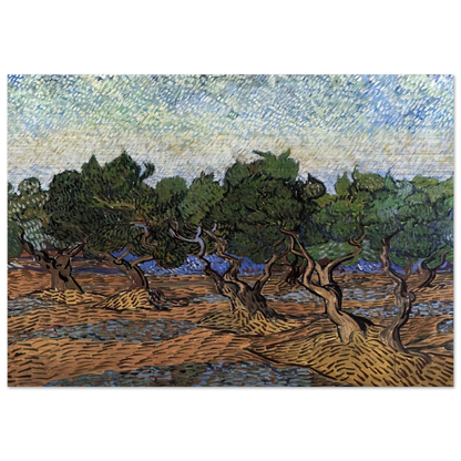 Olive Grove - Vincent van Gogh Brushed Aluminum Print - 70x100 cm / 28x40 inches | Vincent van Gogh Aluminum Print | Vincent van Gogh Prints