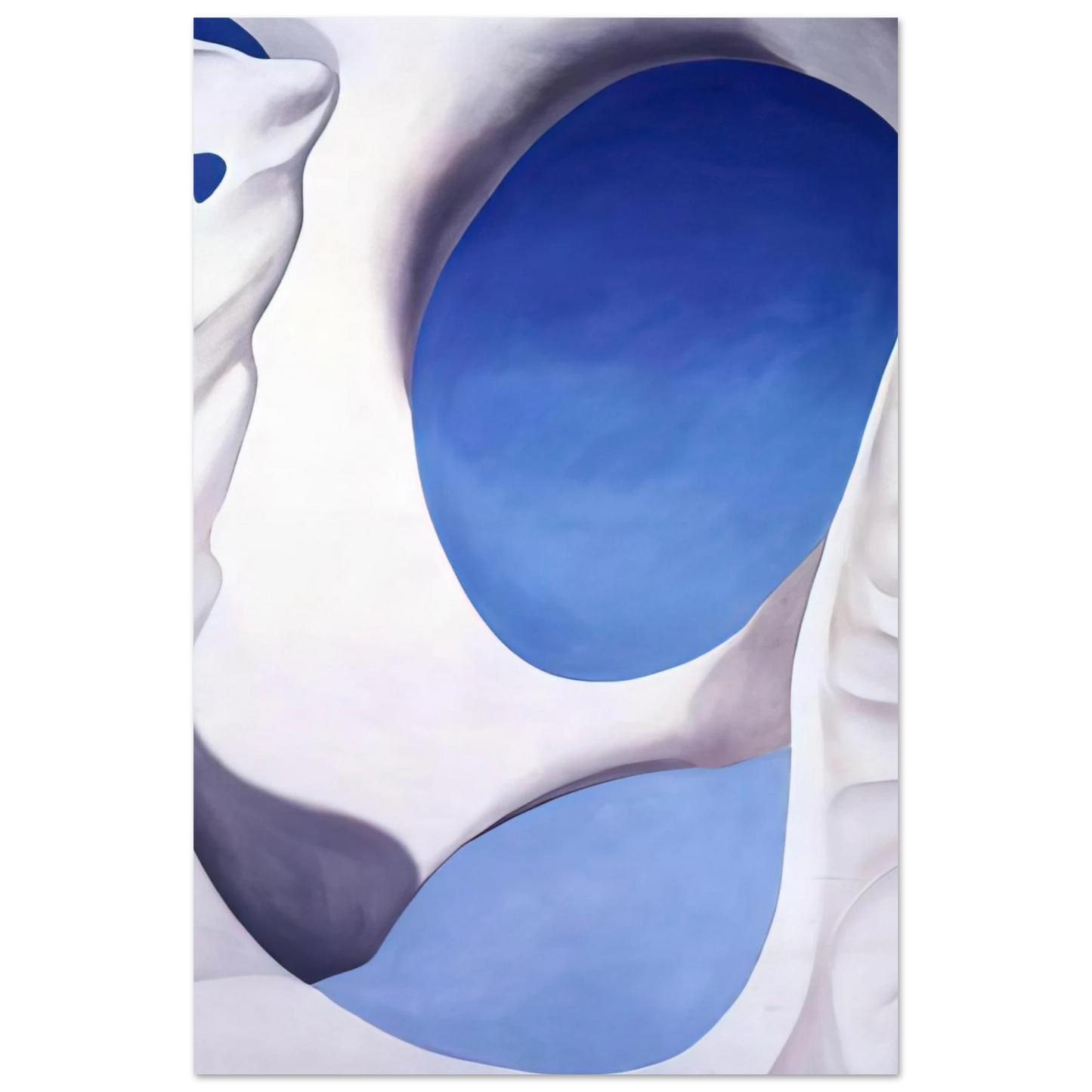 Georgia O'Keeffe - Pelvis II Fine Art Poster