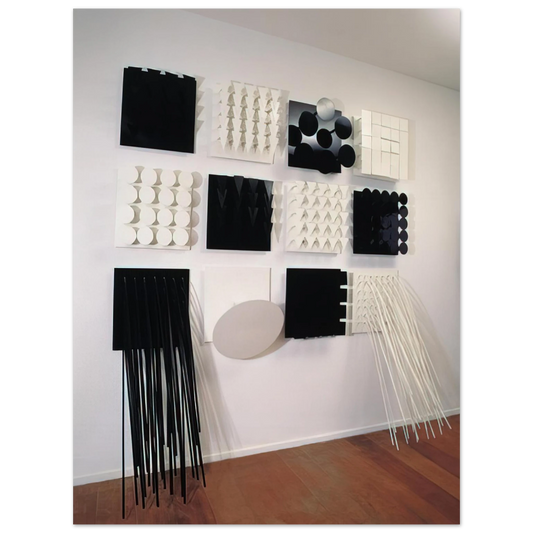 Lygia Pape - Amazonia Black and white - Neo-Concretism  75x100 cm / 30x40inches Fine Art Poster