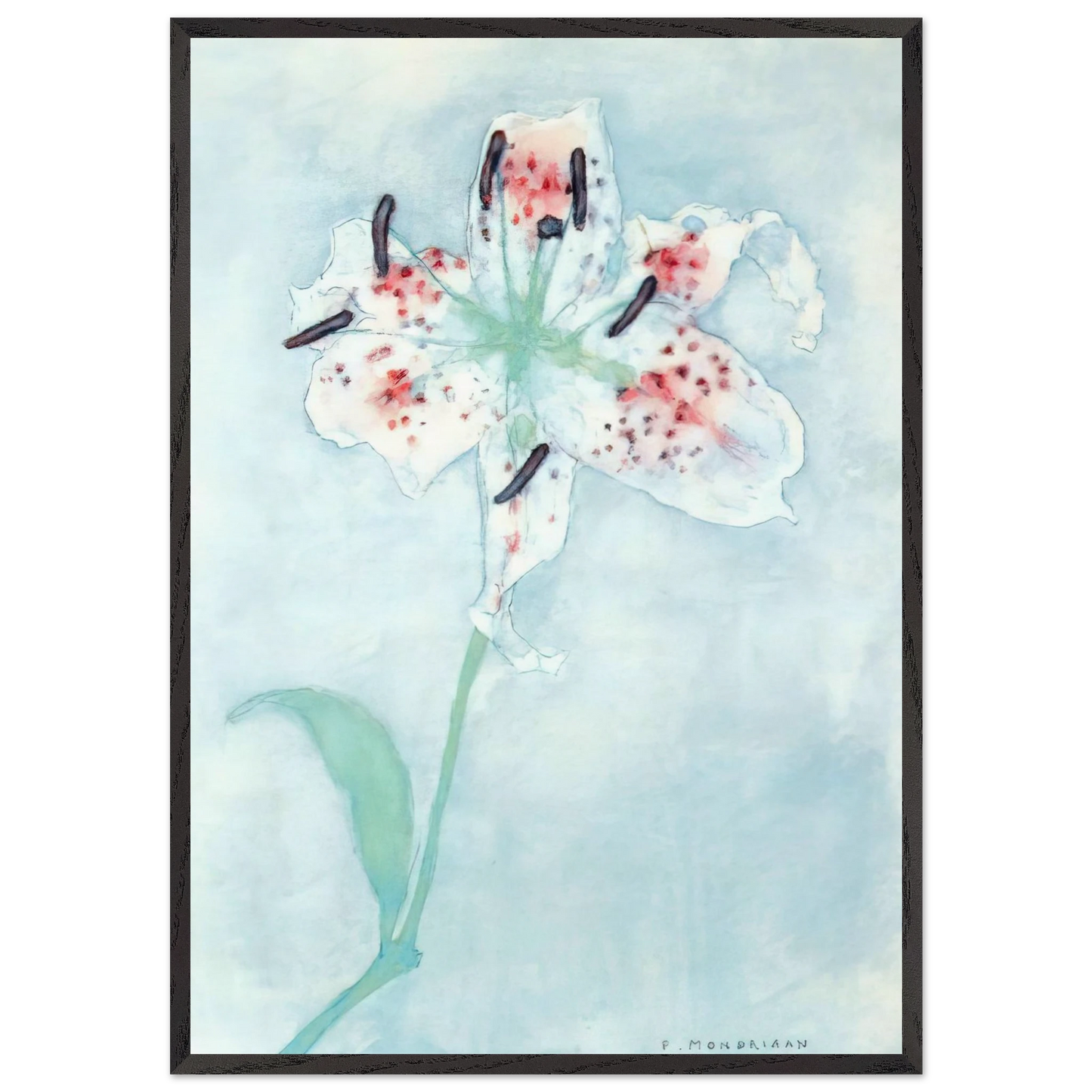 Lily - Piet Mondrian 70x100 cm / 28x40 inches Framed Art Print – Black Wooden Frame