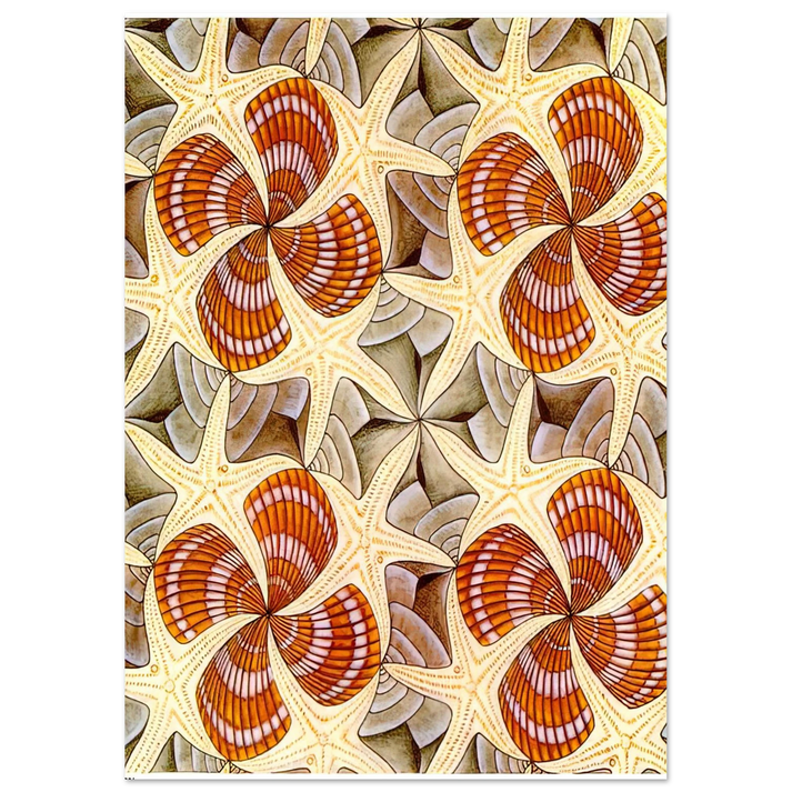 MC Escher - SHELLS AND STARFISH Wall Art - 30x40 cm / 12x16 inches - Premium Wooden Framed Poster With Fine Art Paper - White frame