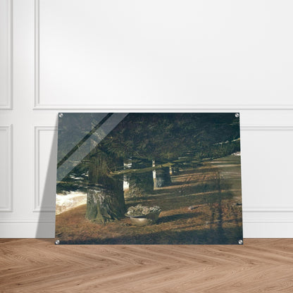 PINE BARON - Andrew Wyeth Acrylic Print - 70x100 cm / 28x40″ inches
