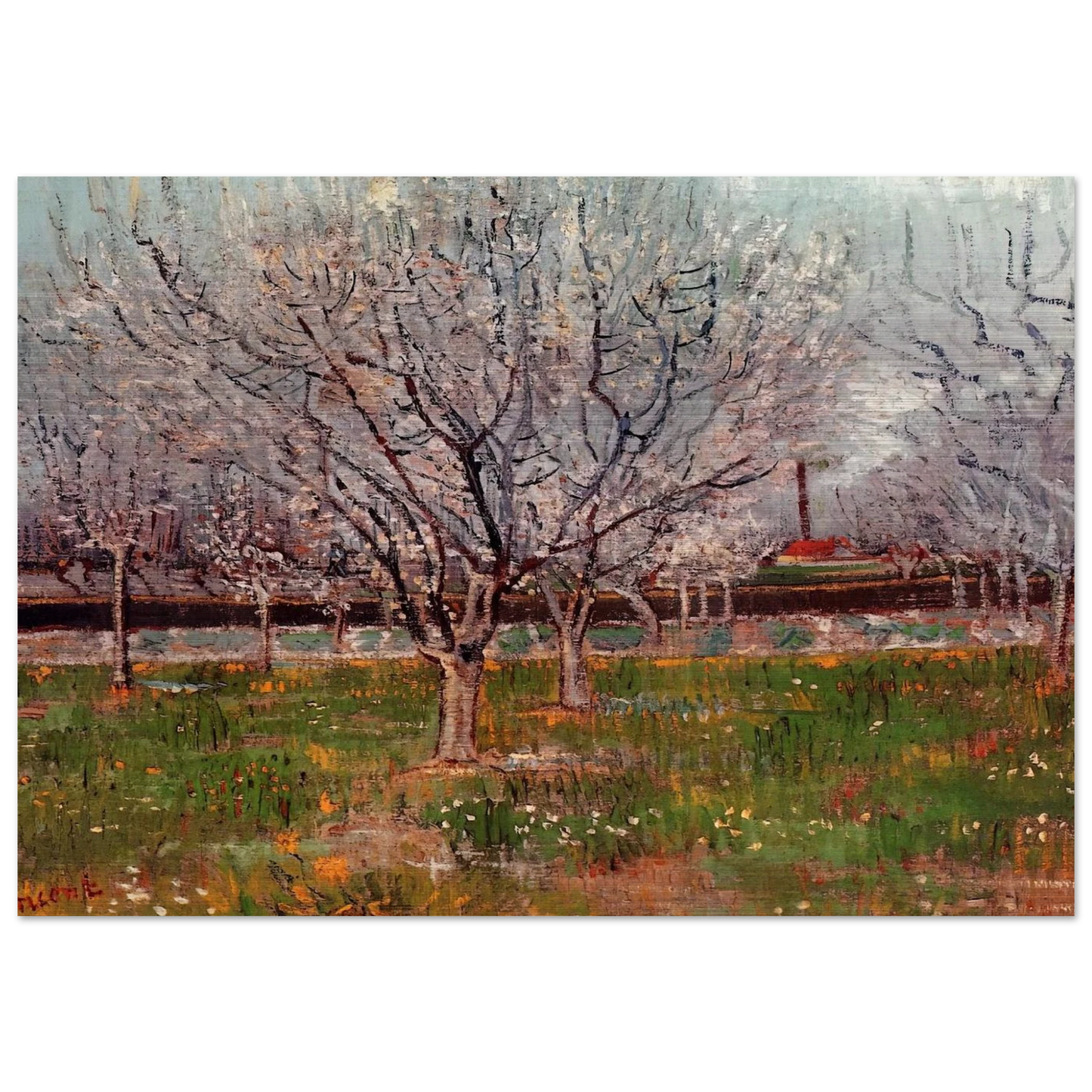 Orchard in Blossom Plum Trees - Vincent van Gogh Brushed Aluminum Print - 70x100 cm / 28x40 inches | Vincent van Gogh Aluminum Print | Vincent van Gogh Prints