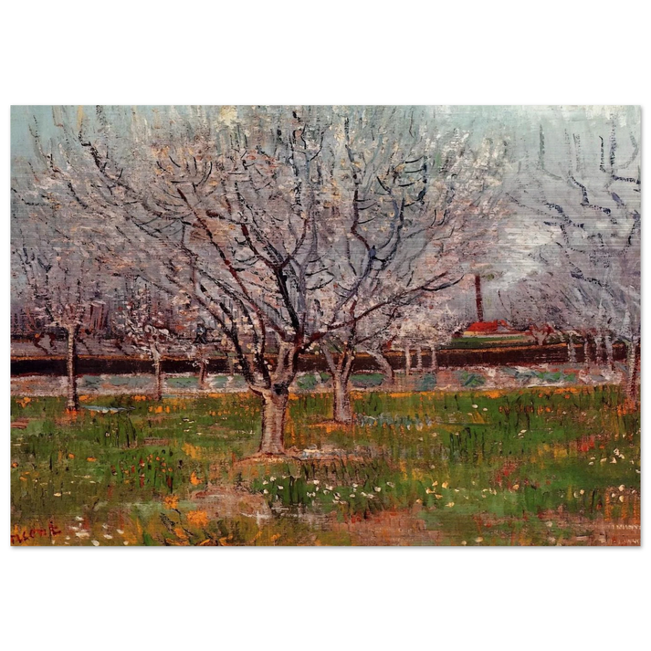 Orchard in Blossom Plum Trees - Vincent van Gogh Brushed Aluminum Print - 70x100 cm / 28x40 inches | Vincent van Gogh Aluminum Print | Vincent van Gogh Prints