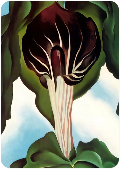 Jack-in-the-Pulpit III By Georgia O'Keeffe Pack of 10 Post Cards | Georgia O'Keeffe Post Cards | A6 (10.5 x 14.8 cm) - 4.1 x 5.8 inches