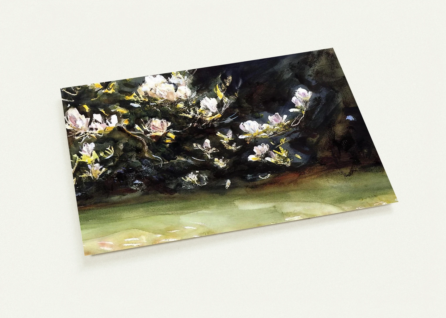 Magnolias By John Singer Sargent Pack of 10 Post Cards | John Singer Sargent Post Cards | A6 (10.5 x 14.8 cm) - 4.1 x 5.8 inches