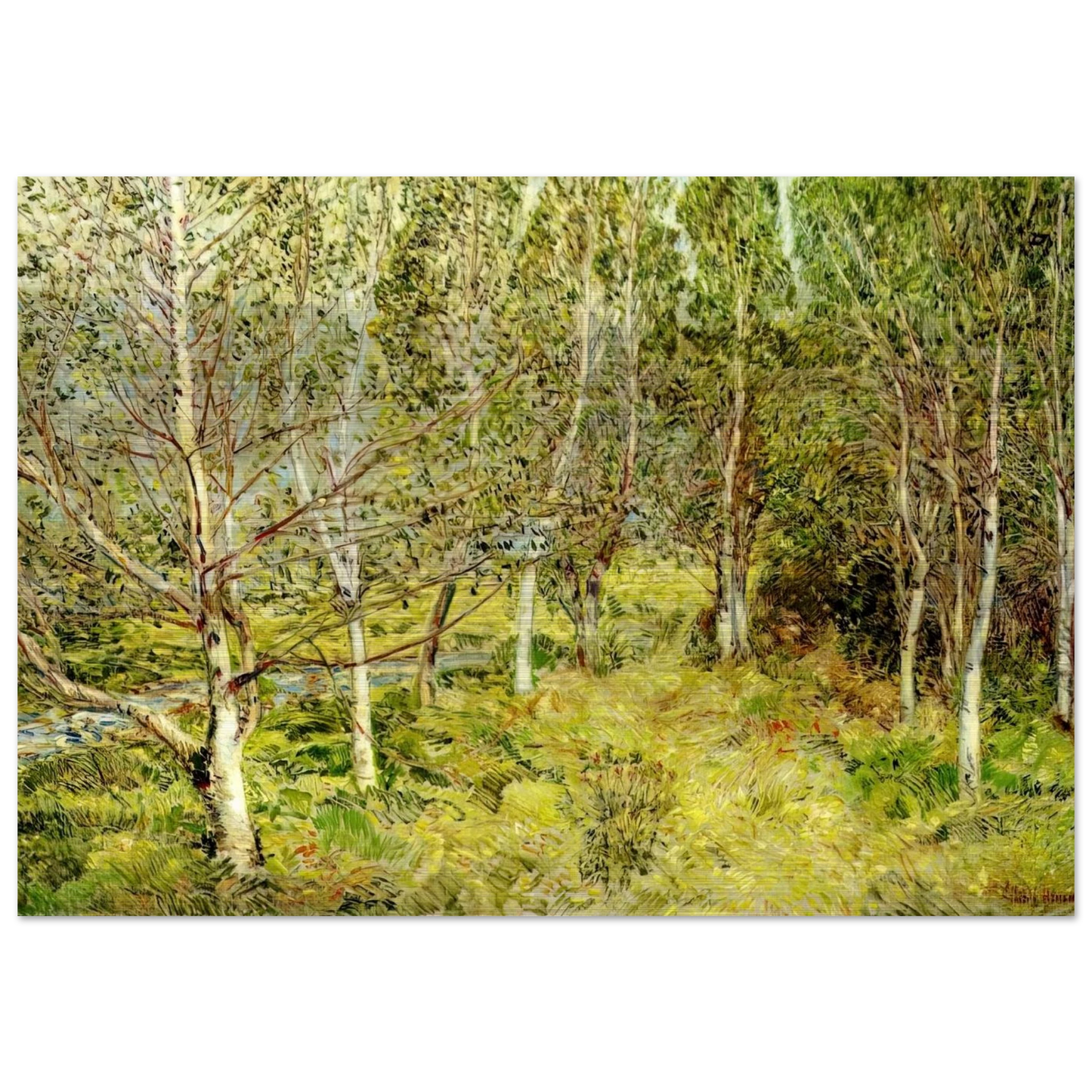 Spring Woods - Childe Hassam Brushed Aluminum Print - 70x100 cm / 28x40 inches | Childe Hassam Aluminum Print | Childe Hassam Prints
