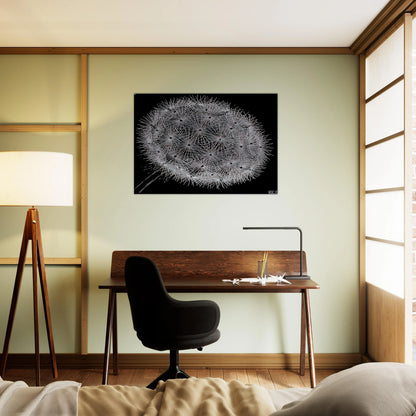 BLOWBALL II - MC Escher Brushed Aluminum Print - 70x100 cm / 28x40 inches | MC Escher Aluminum Print | MC Escher Prints | Maurits Cornelis Escher Prints
