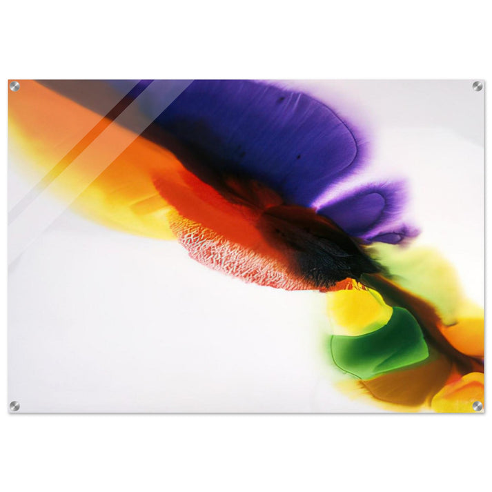Phenomena Tibetan Flange - Paul Jenkins Acrylic Print - 70x100 cm / 28x40″ inches